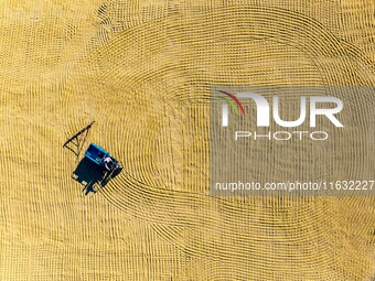 A worker dries rice at a sun-drying farm in Suqian, Jiangsu province, China, on October 2, 2024. (