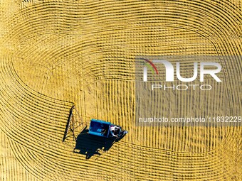 A worker dries rice at a sun-drying farm in Suqian, Jiangsu province, China, on October 2, 2024. (