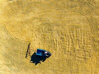 A worker dries rice at a sun-drying farm in Suqian, Jiangsu province, China, on October 2, 2024. (