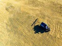 A worker dries rice at a sun-drying farm in Suqian, Jiangsu province, China, on October 2, 2024. (