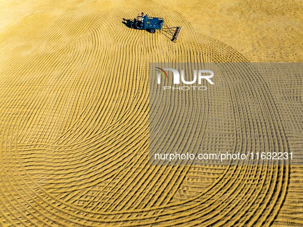 A worker dries rice at a sun-drying farm in Suqian, Jiangsu province, China, on October 2, 2024. 