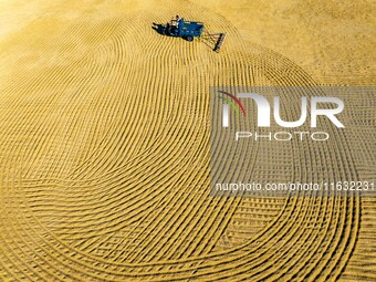 A worker dries rice at a sun-drying farm in Suqian, Jiangsu province, China, on October 2, 2024. (