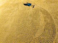 A worker dries rice at a sun-drying farm in Suqian, Jiangsu province, China, on October 2, 2024. (