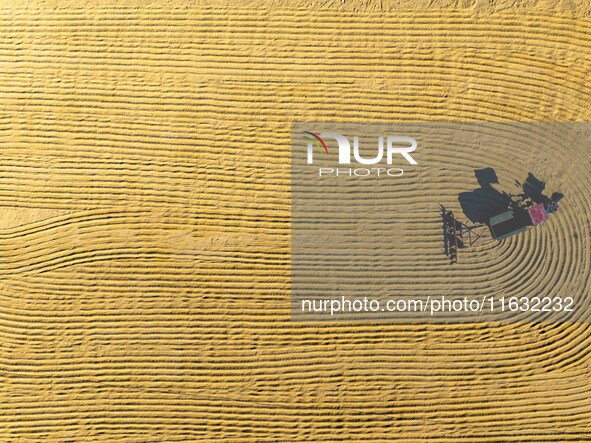 A worker dries rice at a sun-drying farm in Suqian, Jiangsu province, China, on October 2, 2024. 