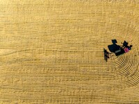 A worker dries rice at a sun-drying farm in Suqian, Jiangsu province, China, on October 2, 2024. (