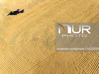 A worker dries rice at a sun-drying farm in Suqian, Jiangsu province, China, on October 2, 2024. (