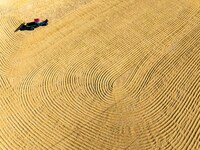 A worker dries rice at a sun-drying farm in Suqian, Jiangsu province, China, on October 2, 2024. (