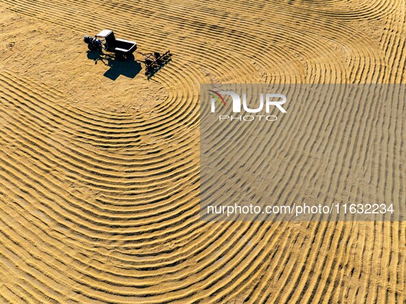 A worker dries rice at a sun-drying farm in Suqian, Jiangsu province, China, on October 2, 2024. 