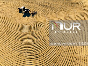 A worker dries rice at a sun-drying farm in Suqian, Jiangsu province, China, on October 2, 2024. (