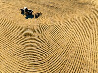 A worker dries rice at a sun-drying farm in Suqian, Jiangsu province, China, on October 2, 2024. (