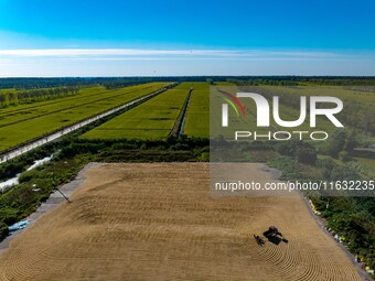 A worker dries rice at a sun-drying farm in Suqian, Jiangsu province, China, on October 2, 2024. (