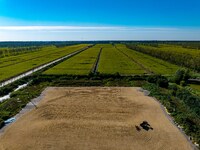 A worker dries rice at a sun-drying farm in Suqian, Jiangsu province, China, on October 2, 2024. (