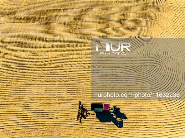 A worker dries rice at a sun-drying farm in Suqian, Jiangsu province, China, on October 2, 2024. 