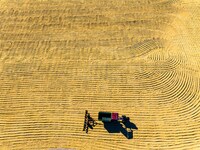 A worker dries rice at a sun-drying farm in Suqian, Jiangsu province, China, on October 2, 2024. (