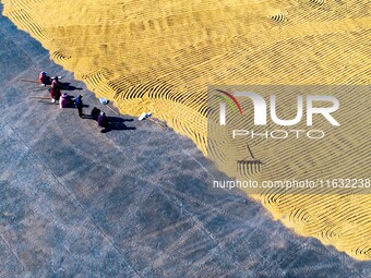 A worker dries rice at a sun-drying farm in Suqian, Jiangsu province, China, on October 2, 2024. (