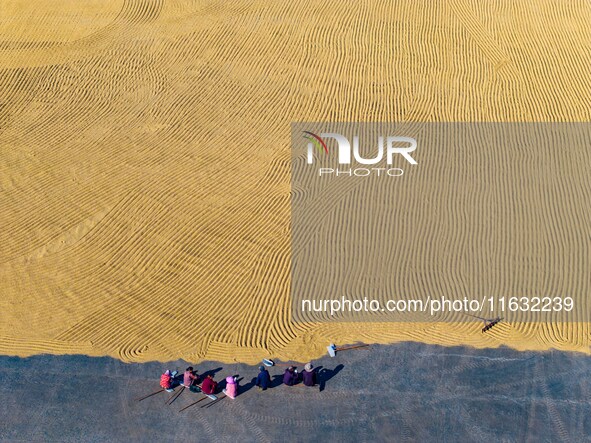 A worker dries rice at a sun-drying farm in Suqian, Jiangsu province, China, on October 2, 2024. 