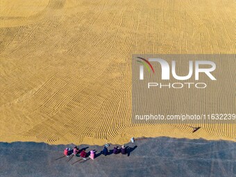 A worker dries rice at a sun-drying farm in Suqian, Jiangsu province, China, on October 2, 2024. (