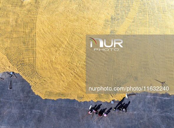 A worker dries rice at a sun-drying farm in Suqian, Jiangsu province, China, on October 2, 2024. 