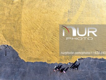 A worker dries rice at a sun-drying farm in Suqian, Jiangsu province, China, on October 2, 2024. (