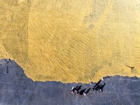 A worker dries rice at a sun-drying farm in Suqian, Jiangsu province, China, on October 2, 2024. (