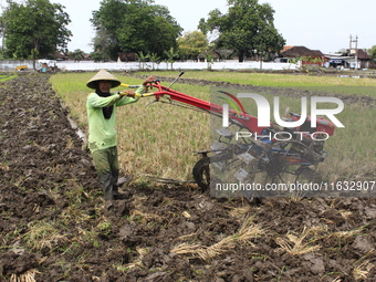 A farmer breaks up the soil with a tractor in a rice field in Triyagen Village, Mojolaban, Sukoharjo City, Central Java, on October 3, 2024...