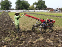 A farmer breaks up the soil with a tractor in a rice field in Triyagen Village, Mojolaban, Sukoharjo City, Central Java, on October 3, 2024...