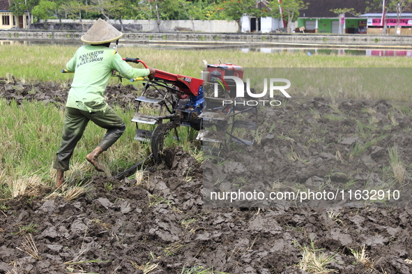 A farmer breaks up the soil with a tractor in a rice field in Triyagen Village, Mojolaban, Sukoharjo City, Central Java, on October 3, 2024 