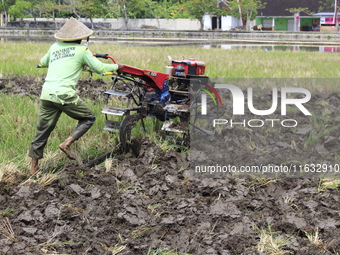 A farmer breaks up the soil with a tractor in a rice field in Triyagen Village, Mojolaban, Sukoharjo City, Central Java, on October 3, 2024...