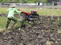 A farmer breaks up the soil with a tractor in a rice field in Triyagen Village, Mojolaban, Sukoharjo City, Central Java, on October 3, 2024...