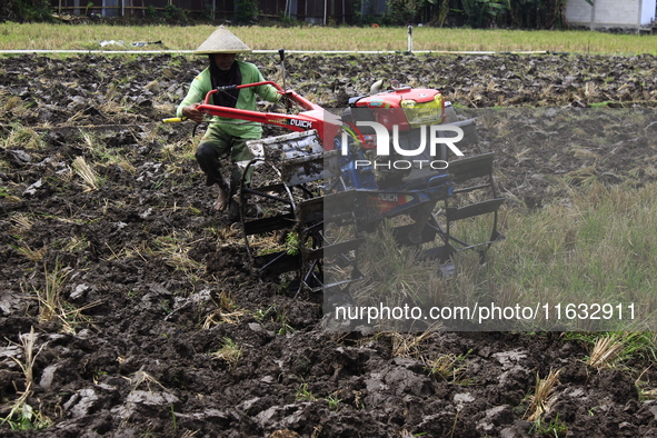 A farmer breaks up the soil with a tractor in a rice field in Triyagen Village, Mojolaban, Sukoharjo City, Central Java, on October 3, 2024 