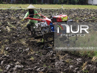 A farmer breaks up the soil with a tractor in a rice field in Triyagen Village, Mojolaban, Sukoharjo City, Central Java, on October 3, 2024...