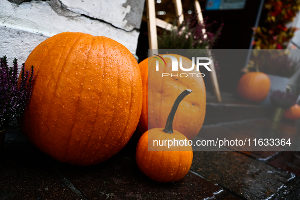 Pumpkins are seen at a cafe in Krakow, Poland on October 2, 2024. 