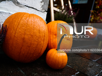 Pumpkins are seen at a cafe in Krakow, Poland on October 2, 2024. (