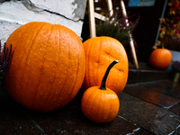 Pumpkins are seen at a cafe in Krakow, Poland on October 2, 2024. (