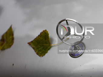 Leaves and Mercedes-Benz logo are seen on a car in Krakow, Poland on October 2, 2024. (