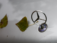 Leaves and Mercedes-Benz logo are seen on a car in Krakow, Poland on October 2, 2024. (