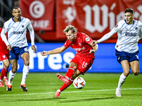 FC Twente midfielder Michel Vlap and Fenerbahce defender Mert Muldur play during the match between Twente and Fenerbahce at the Grolsch Vest...