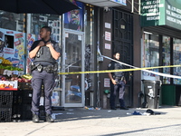 A 29-year-old woman is in critical condition after being stabbed in the neck and torso at Jose Mini Market Inc. located at 549 Southern Boul...