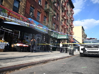 A 29-year-old woman is in critical condition after being stabbed in the neck and torso at Jose Mini Market Inc. located at 549 Southern Boul...