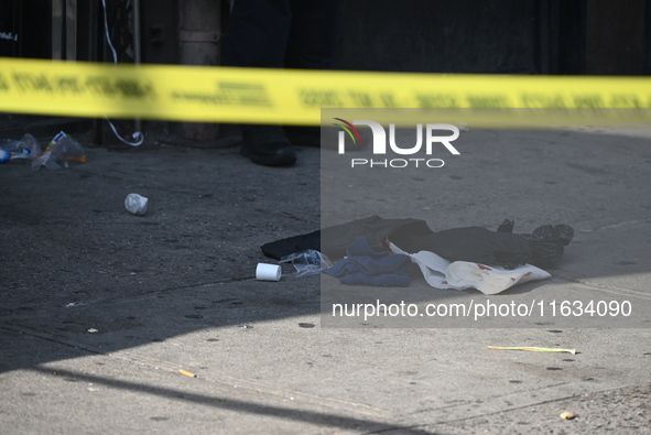 A 29-year-old woman is in critical condition after being stabbed in the neck and torso at Jose Mini Market Inc. located at 549 Southern Boul...