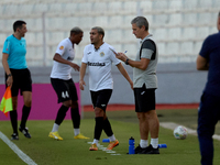 Branko Nisevic, head coach of Hibernians, reacts during the Malta 360 Sports Premier League soccer match between Hamrun Spartans and Hiberni...