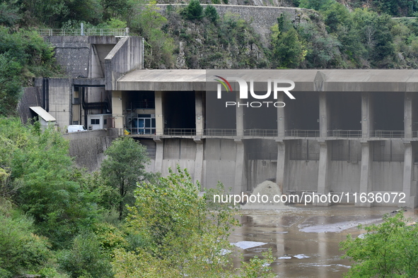 Several thousand dead fish are found following the emptying of the Collanges dam in Saint Michel d'Aurance in Ardeche, France, on October 4,...