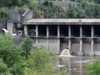 Several thousand dead fish are found following the emptying of the Collanges dam in Saint Michel d'Aurance in Ardeche, France, on October 4,...