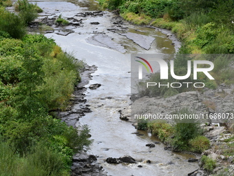 Several thousand dead fish are found following the emptying of the Collanges dam in Saint Michel d'Aurance in Ardeche, France, on October 4,...