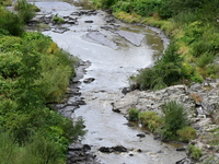 Several thousand dead fish are found following the emptying of the Collanges dam in Saint Michel d'Aurance in Ardeche, France, on October 4,...