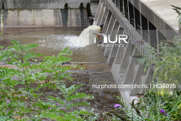 Several thousand dead fish are found following the emptying of the Collanges dam in Saint Michel d'Aurance in Ardeche, France, on October 4,...