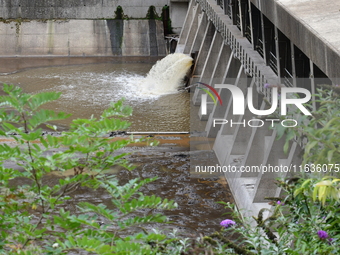 Several thousand dead fish are found following the emptying of the Collanges dam in Saint Michel d'Aurance in Ardeche, France, on October 4,...