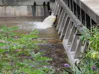 Several thousand dead fish are found following the emptying of the Collanges dam in Saint Michel d'Aurance in Ardeche, France, on October 4,...