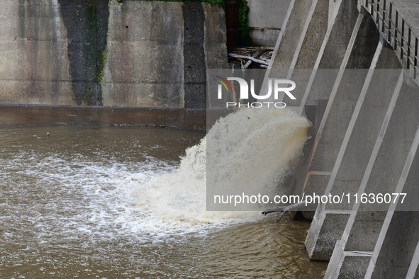 Several thousand dead fish are found following the emptying of the Collanges dam in Saint Michel d'Aurance in Ardeche, France, on October 4,...