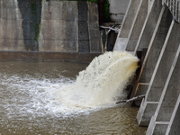 Several thousand dead fish are found following the emptying of the Collanges dam in Saint Michel d'Aurance in Ardeche, France, on October 4,...